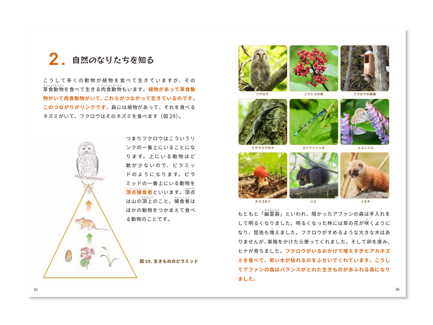 アファンの森ガイドブック アファンの森のフクロウが教えてくれたこと