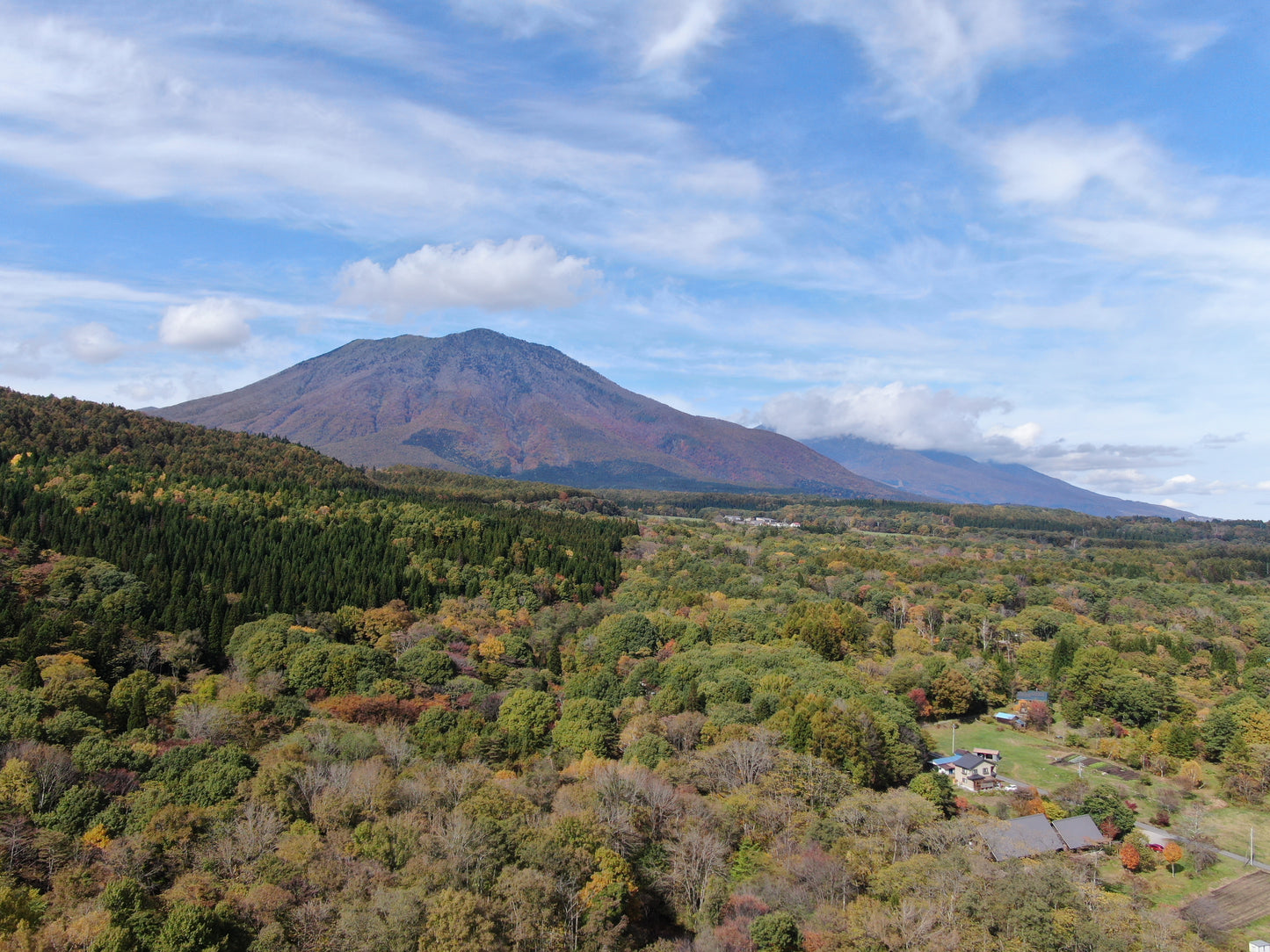 寄付 トラスト基金 一口3000円