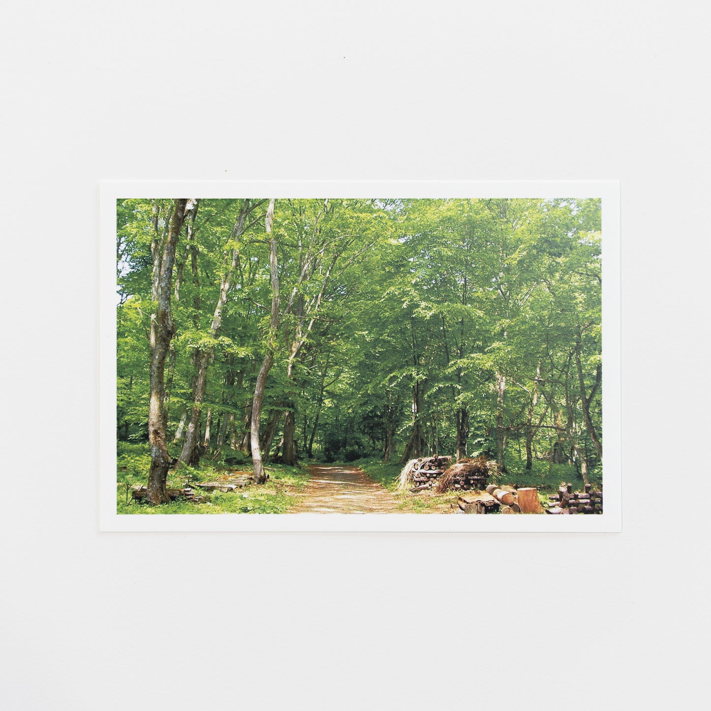 絵はがきセット