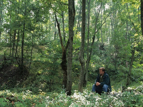 寄付 C.W.ニコル メモリアル自然再生基金 1口5000円