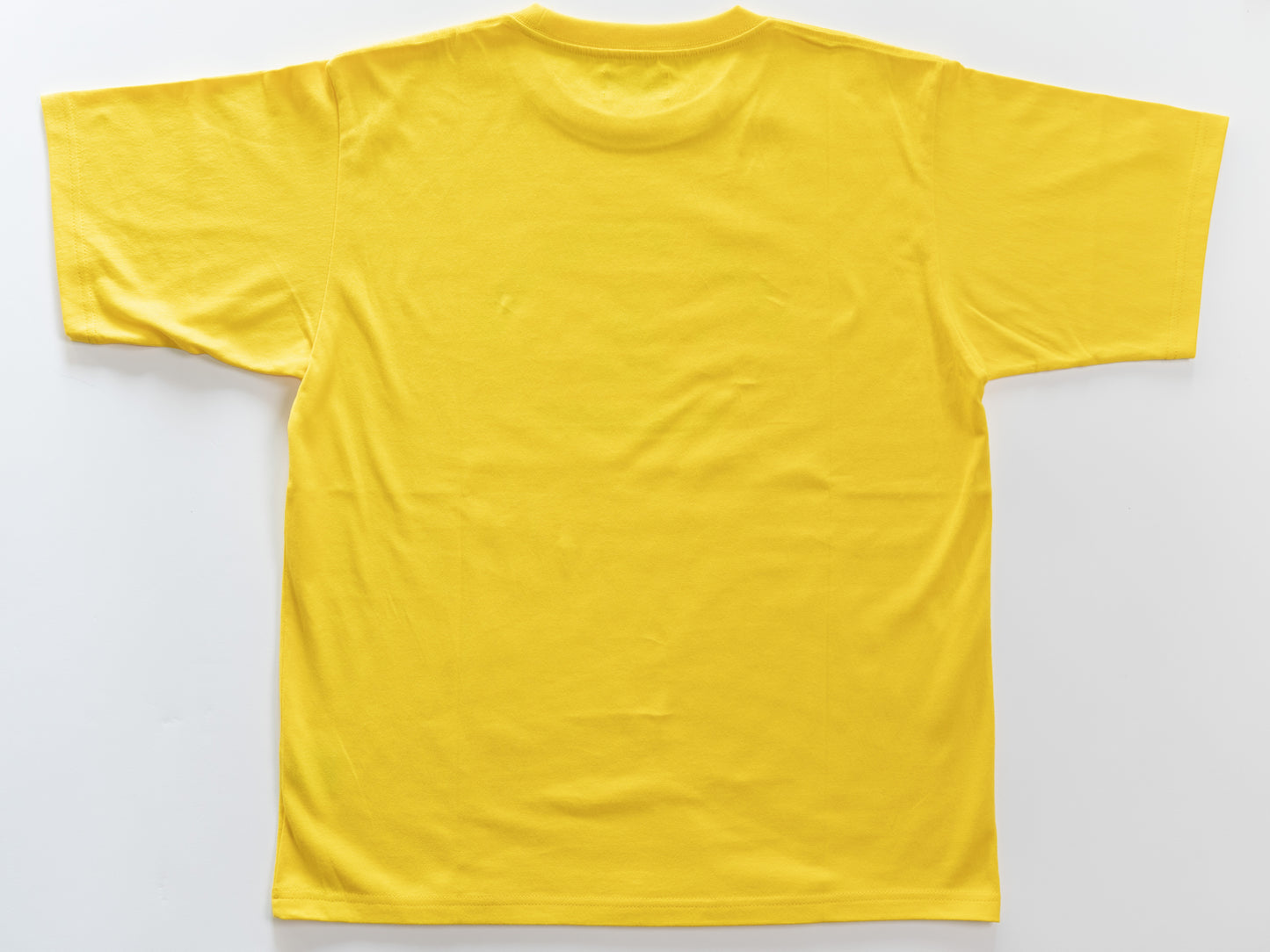 Organic cotton T-shirts(クマさんアカデミー)